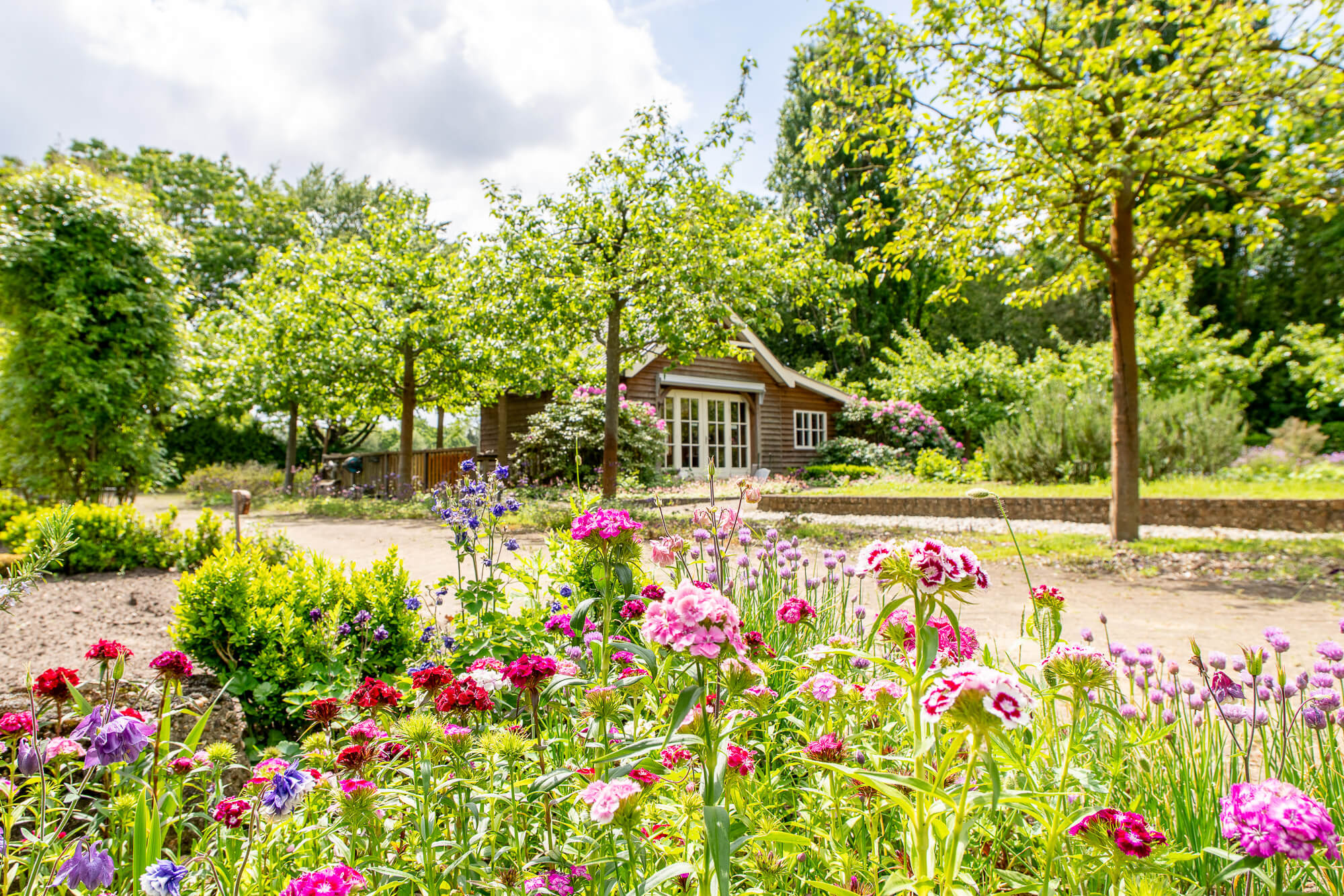 Bloemenveld voor een huisje